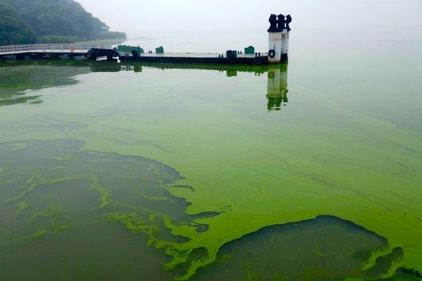 油漆配方大全