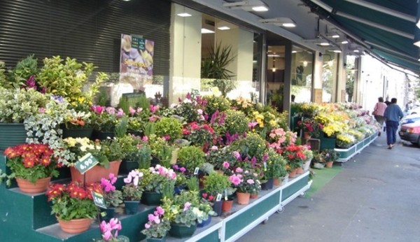 花店装修效果图