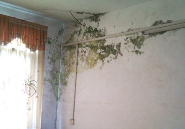 房屋漏水交房后