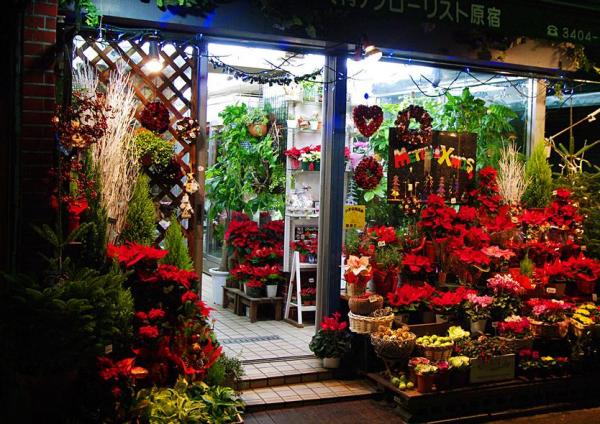 花店装修效果图
